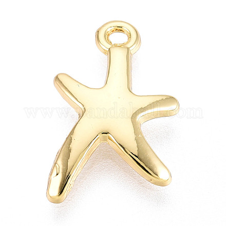 Подвески из сплава  FIND-N010-10G-1
