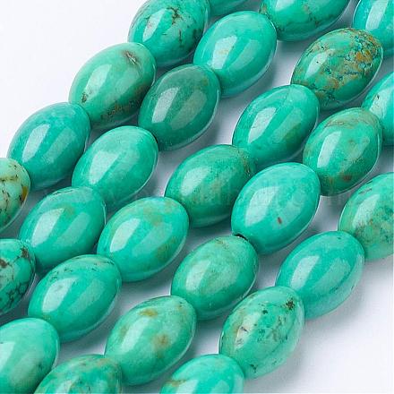 Естественно Howlite шарик нити G-P286-08-A-1