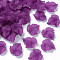 Autumn Theme Transparent Frosted Acrylic Pendants, Maple Leaf, Purple, 24x22.5x3mm, Hole: 1mm, about 962pcs/500g