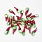 Handmade Lampwork Pendants, Hot Pepper, Red, 9~17x5~7x2~4mm, Hole: 1~5mm