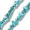 Synthetic Turquoise Beads Strands, Dyed, Chips, 3~8x3~8mm, Hole: 1mm, 80~81cm.