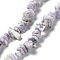 Natural Purple Turquoise Beads Strands, Chip, 1~8x5~17x5~8mm, Hole: 0.9~1mm, 30.31~31.50''(77~80cm)