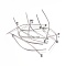 Non-Tarnish 304 Stainless Steel Ball Head Pins, Stainless Steel Color, 40x0.6mm, 22 Gauge, Head: 1.8mm