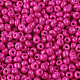Выпечка краска стеклянные бусины SEED-S003-K24-2