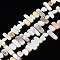 Natural Trochid Shell/Trochus Shell Beads Strands, Undyed, Rectangle, 6~11x6~36x1~7mm, Hole: 1mm, about 45~55pcs/strand, 14.96 inch~15.35 inch(38cm~39cm)