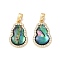 Brass Micro Pave Clear Cubic Zirconia Pendants, Cadmium Free & Nickel Free & Lead Free, Abalone Shell Charms, Real 18K Gold Plated, 19x12x3mm, Hole: 4.5x2mm