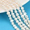 Natural Cultured Freshwater Pearl Beads Strands, Two Sides Polished, Grade 6A+, Seashell Color, 5~5.5mm, Hole: 0.6mm, about 66pcs/strand, 13.66~13.86''(35.2cm)