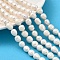 Natural Cultured Freshwater Pearl Beads Strands, Rice, Grade AB+, Old Lace, 9~10mm, Hole: 0.6mm, about 35~36pcs/strand, 15.55''~15.75''(39.5~40cm)