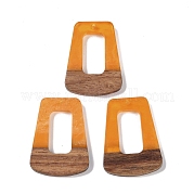 Подвески из смолы и дерева WOOD-F015-11F