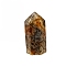 Pointed Tower Natural Crazy Agate Healing Stone Wands, for Reiki Chakra Meditation Therapy Decoration, Hexagonal Prism, 15x15x35mm