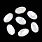 Natural White Shell Cabochons, Oval, White, 13x8x2.5mm