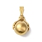 PVD Vacuum Plating 304 Stainless Steel Pendants, Golden, Claw with Round Ball, 27x19x16mm, Hole: 10x5mm