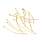 304 Stainless Steel Ball Head Pins, Golden, 40x0.6mm, 22 Gauge, Head: 1.8mm