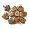 Natural Tiger Eye Pendants, with 201 Stainless Steel Finding, Fish, 19x20x5.5mm, Hole: 4x7mm