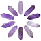 10Pcs Natural Amethyst No Hole, Faceted Bullet, Double Terminated Points, 22~23x6x6mm