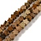 Natural Picture Jasper Beads Strands, Star, 4x4.5x2mm, Hole: 0.8mm, about 102pcs/strand, 15.35 inch(39cm)