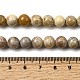 Природные окаменелые коралловые бусы пряди G-A274-B01-8mm-5