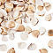 Natural Shell, for Vase Filler, DIY Craft, Home Decor, White, 15x20x6mm