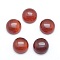 Natural Carnelian Cabochons, Dyed & Heated, Half Round, 10x4~5mm