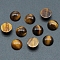 Natural Tiger Eye Cabochons, Half Round, 10x5mm