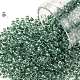Круглые бусины toho X-SEED-TR08-1070-1