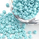 Выпечка краска стеклянные бусины SEED-Q025-3mm-L10-1