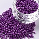 Выпечка краска стеклянные бусины SEED-S001-K11-1