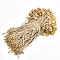 Polyester Cord with Seal Tag, Plastic Hang Tag Fasteners, Wheat, 180~185x2mm, Seal Tag: 10x7x4mm and 9x3mm, about 1000pcs/bag