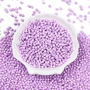 Выпечка расписных стеклянных бусин SEED-C004-01K