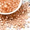 Glass Seed Beads, Imitation Cat Eye, Round Hole, Hexagon, Light Salmon, 3.5x3.8x3.5mm, Hole: 1mm, about 140pcs/10g