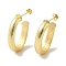 Rack Plating Texture Oval Brass Stud Earrings, Half Hoop Earrings for Women, Cadmium Free & Lead Free, Long-Lasting Plated, Real 18K Gold Plated, 33x6mm