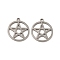 Non-Tarnish 201 Stainless Steel Pendants, Hollow Flat Round with Star Charms, Stainless Steel Color, 17.3x15.5x0.9mm, Hole: 1.4mm