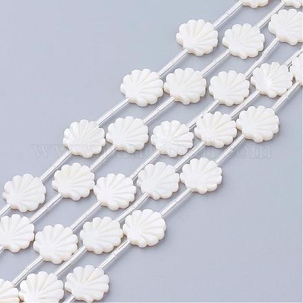 Натуральные белые бусины из ракушек SSHEL-Q298-06-1