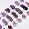 Natural Druzy Amethyst Beads Strands, Nuggets, 12~13x28~40x12~19mm, Hole: 2mm, about 16pcs/strand, 16 inch