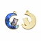 Alloy Printed Pendants, Cadmium Free & Nickel Free & Lead Free, Moon With Owl, Blue, 20.5x16x1.5mm, Hole: 1.5mm