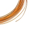 5M Aluminum Wire, Flat, for DIY Craft, Sandy Brown, 1x0.3mm, about 16.40 Feet(5m)/Roll