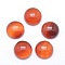 Natural Carnelian Cabochons, Half Round, 12x5~6mm