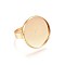 Adjustable 201 Stainless Steel Finger Rings Components, Pad Ring Base Findings, Flat Round, Golden, Size 8, 18mm, Inner Size: 20~20.5mm