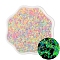 Luminous Glow in the Dark Cylinder Seed Beads, Spray Painted, Mixed Color, 2.5mm, Hole: 1mm, about 700pcs/bag