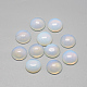 Opalite кабошоны G-R416-10mm-49-1