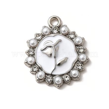 Подвески из сплава  FIND-H015-04P-02-1