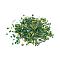 Glass Seed Beads, Mixed Style, Mixed Shapes, Green, 1~27x2~4mm, Hole: 0.7~1mm