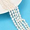 Natural Cultured Freshwater Pearl Beads Strands, Two Sides Polished, Grade 2A+, Seashell Color, 5~6mm, Hole: 0.6mm, about 45~46pcs/strand, 13.23~13.50''(33.6~34.3cm)