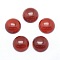 Natural Carnelian Cabochons, Dyed & Heated, Half Round, 12x5~6mm