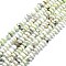 Natural American Turquoise(Jasper) Beads Strands, Flat Round, 7.5~10x2~4.5mm, Hole: 1.2mm, about 80pcs/strand, 15.55 inch(39.5cm)