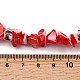 Нити бусин из натуральных трохоидных/трохус ракушек SHEL-B003-02I-4