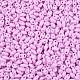 Выпечка краска стеклянные бусины SEED-T006-03L-2