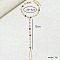 Bohemian Beach Brass Heart Charm Ankletss Toe Ring for Women