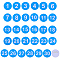 1 Set Round ABS Plastic Number 1~30 Brooches Sets, Blue, 49mm, 30pcs/set