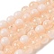 Crackle Glass Beads Strands, Rondelle, Moccasin, 8mm, Hole: 1mm